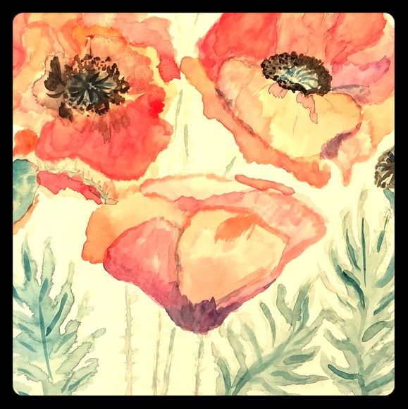 Meet your Posher, Gracie - Picture 1 of 1